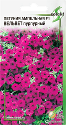 Изображение товара Семена ДОМ СЕМЯН Петуния ампельная Вельвет, 0,03г