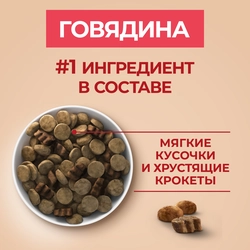 Корм сухой для взрослых собак PURINA ONE Adult Говядина и рис, для средних и крупных пород, 1,8кг