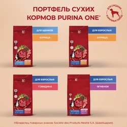 Корм сухой для взрослых собак PURINA ONE Adult Говядина и рис, для средних и крупных пород, 1,8кг