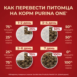 Корм сухой для взрослых собак PURINA ONE Adult Говядина и рис, для средних и крупных пород, 1,8кг