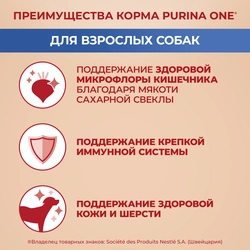 Корм сухой для взрослых собак PURINA ONE Adult Говядина и рис, для средних и крупных пород, 1,8кг