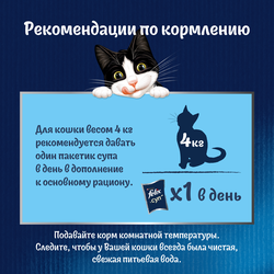 Корм влажный для взрослых кошек FELIX Суп с говядиной в соусе, 48г