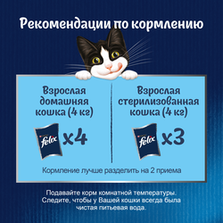 Корм влажный для взрослых кошек FELIX Суп с говядиной в соусе, 48г