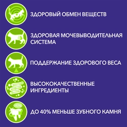 Корм сухой для взрослых кошек PURINA ONE Superfood с говядиной, для стерилизованных, 680г