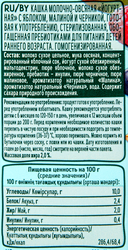 Кашка овсяная ФРУТОНЯНЯ молочная йогуртная, с яблоком, малиной, черникой и пребиотиками, с 6 месяцев, 200мл