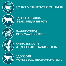 Корм влажный для взрослых кошек PURINA ONE Adult с говядиной и морковью в соусе, 75г