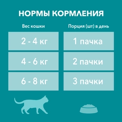 Корм влажный для взрослых кошек PURINA ONE Adult с говядиной и морковью в соусе, 75г