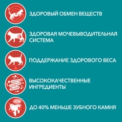 Корм влажный для взрослых кошек PURINA ONE Sterilised с курицей и зеленой фасолью в соусе, 75г