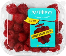 Малина ARTFRUIT, 125г