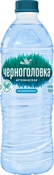 Вода питьевая ЧЕРНОГОЛОВКА артезианская негазированная, 0.5л