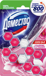 Изображение товара Блок для унитаза ДОМЕСТОС Power 5 Duo Ледяная магнолия, 2х55г