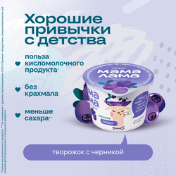 Творог МАМА ЛАМА с черникой 3,8%, без змж, 100г