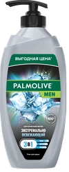 Гель-шампунь для душа мужской PALMOLIVE Men Арктический ветер 3в1, 750мл