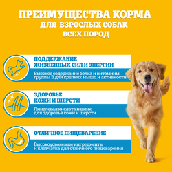 Корм консервированный для взрослых собак PEDIGREE желе с телятиной и печенью, для всех пород, 85г