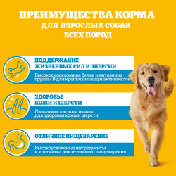 Корм консервированный для взрослых собак PEDIGREE с говядиной и ягненком в соусе, 85г