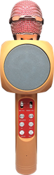 Микрофон для караоке LENTEL C-BKQ20
