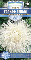 Изображение товара Семена ГАВРИШ Русский богатырь, Астра Голиаф игольчатая, белая, Арт. 1999949489, 0,3г