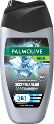 Гель для душа и шампунь мужской PALMOLIVE Men Арктический ветер 3в1, 250мл