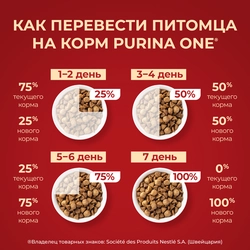 Корм сухой для взрослых собак PURINA ONE Adult Говядина и рис, для мелких и карликовых пород, 1,5кг