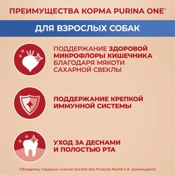 Корм сухой для взрослых собак PURINA ONE Adult Говядина и рис, для мелких и карликовых пород, 1,5кг