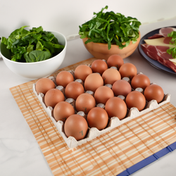 Яйцо куриное ПРАКСИС С1, 20шт