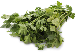 Изображение товара Петрушка ЛЕНТА свежая, 100г