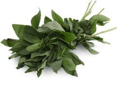 Изображение товара Базилик зеленый свежий, 50г