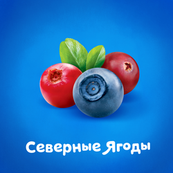 Йогурт питьевой детский АГУША Черника, брусника, клюква 2,7%, с 8 месяцев, без змж, 180г
