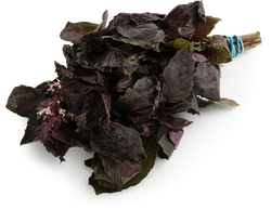 Изображение товара Базилик красный свежий, весовой