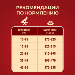Корм сухой для взрослых собак PURINA ONE Adult с ягненком и рисом, для средних и крупных пород, 10кг