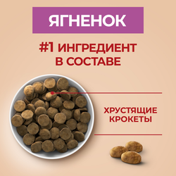 Корм сухой для взрослых собак PURINA ONE Adult с ягненком и рисом, для средних и крупных пород, 10кг