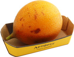 Гранадилла, шт