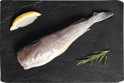 Навага ЛЕНТА FRESH потрошеная без головы (из замороженного сырья), 
весовая