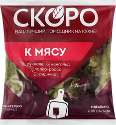 Смесь салатная К мясу, 90г