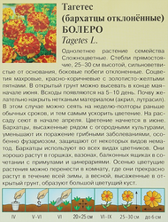 Семена ГАВРИШ Бархатцы отклоненные (Тагетес) Болеро, Арт. 002748, 0,3г