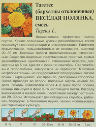 Семена ГАВРИШ Бархатцы отклоненные (Тагетес) Веселая полянка, Арт. 10000929, 0,3г