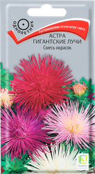 Изображение товара Семена ПОИСК Астра Гигантские лучи, смесь, 0,3г