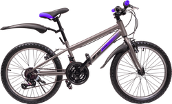 Велосипед Life 20", 18 скоростей серо-розовый, в ассортименте, Арт.  LFE20ST-U