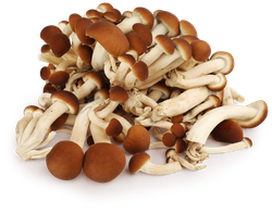 Изображение товара Опята свежие, 200г