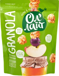 Мюсли медовые ОЛ'ЛАЙТ Granola, с фруктами и орехами, 280г