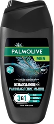 Гель для душа мужской PALMOLIVE Men Расслабление мышц охлаждающий 4в1, 250мл