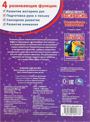 Раскраска УМКА Волшебные животные, мультяшная