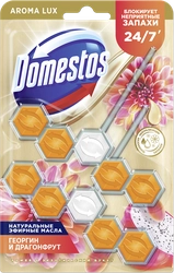 Блок для унитаза DOMESTOS Power 5 duo Экзотический букет, 100г