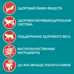 Корм влажный для взрослых кошек PURINA ONE Sterilised с говядиной и морковью в соусе, 75г