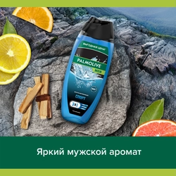 Гель для душа мужской PALMOLIVE Men Спорт, 500мл