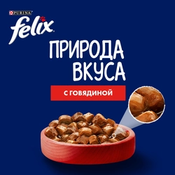 Корм влажный для взрослых кошек FELIX Природа вкуса Говядина, 75г