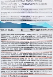 Вода минеральная GORJI природная лечебно-столовая газированная, 1л