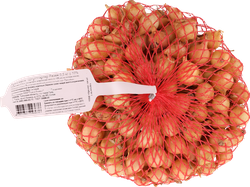 Изображение товара Лук-севок ПОИСК Штуттгартер Ризен, 500г