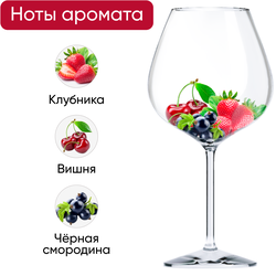 Вино CHATEAU SAINTONGEY Bordeaux красное сухое, 0.75л