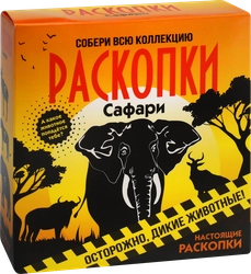 Набор игровой для проведения раскопок, средний, в ассортименте Арт. DIG-6/39